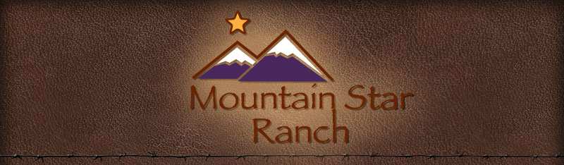 Mountaint Star Ranch Home